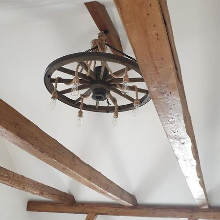 Seensucht & Urlaubstraeume, Ferienwohnung "Seeadler" Grossraeschen Zewnętrze zdjęcie