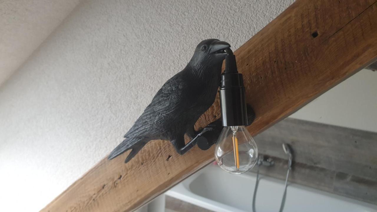 Seensucht & Urlaubstraeume, Ferienwohnung "Seeadler" Grossraeschen Zewnętrze zdjęcie